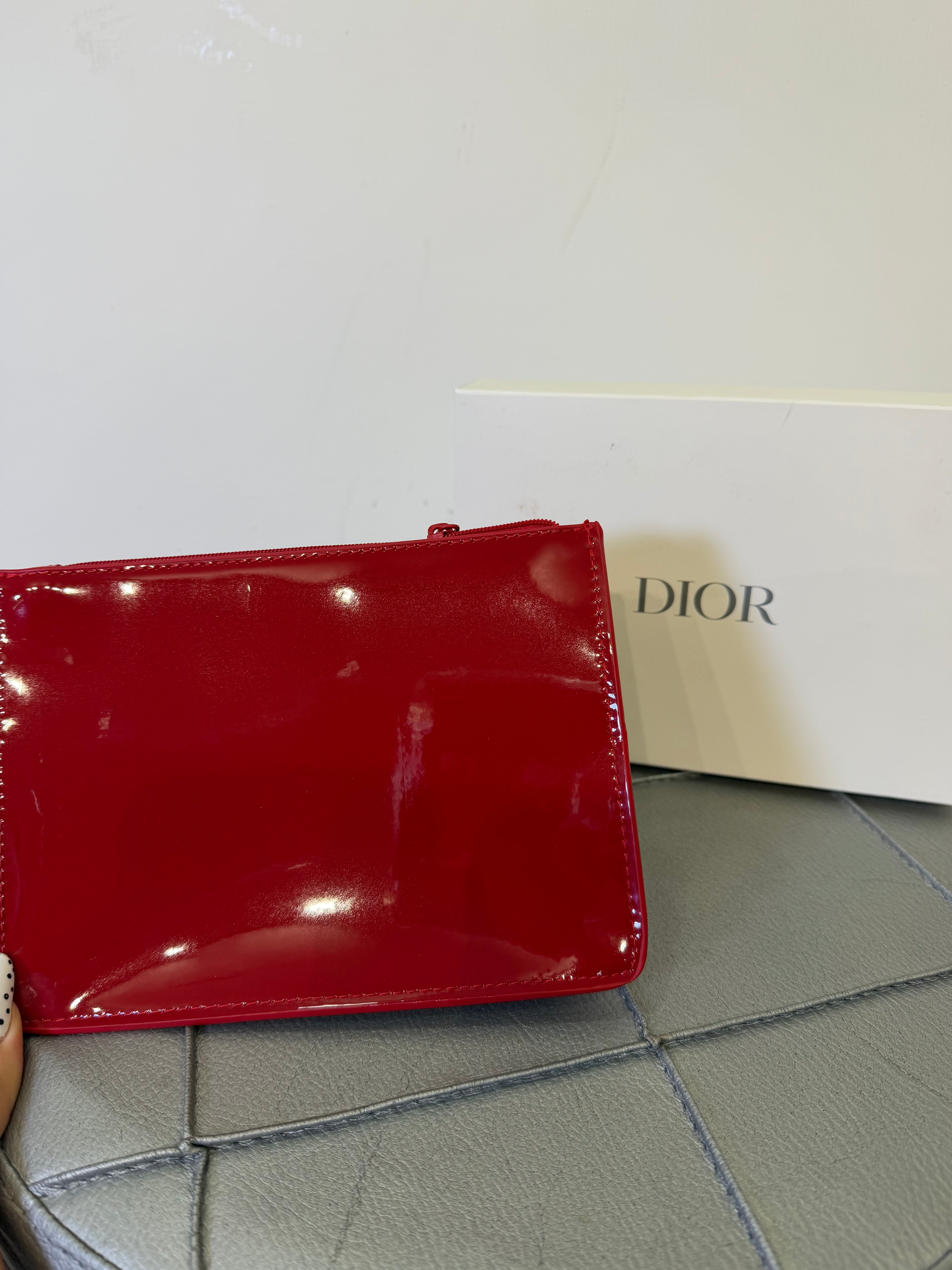 Pochette Dior lucida